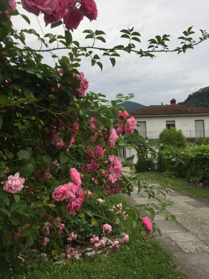 La Magnolia Daire Riccò del Golfo di Spezia Dış mekan fotoğraf