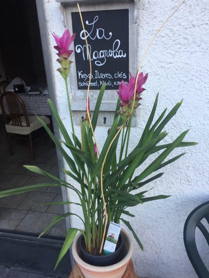 La Magnolia Daire Riccò del Golfo di Spezia Dış mekan fotoğraf
