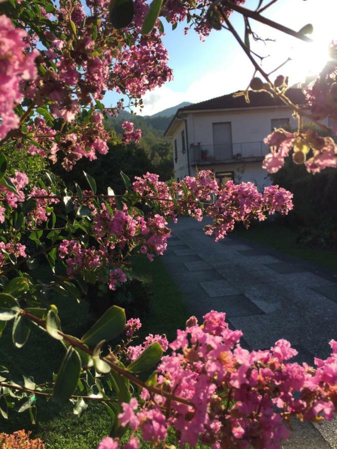 La Magnolia Daire Riccò del Golfo di Spezia Dış mekan fotoğraf