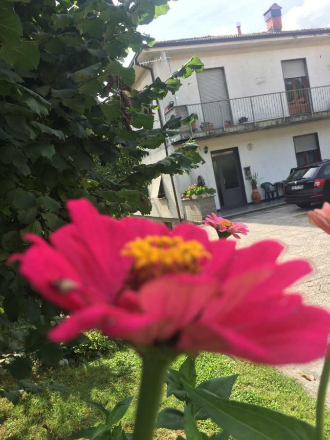 La Magnolia Daire Riccò del Golfo di Spezia Dış mekan fotoğraf
